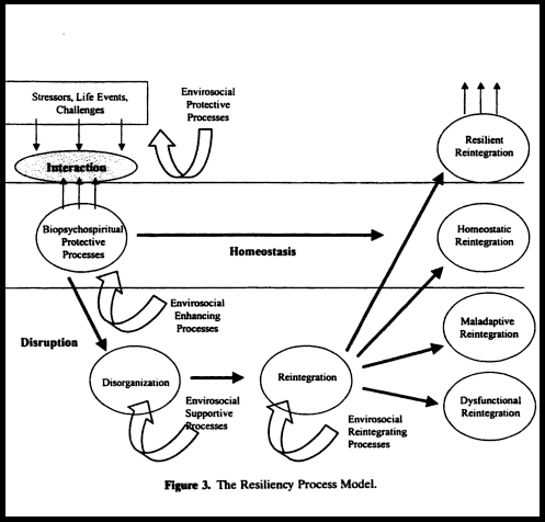 The Resiliency Process Model